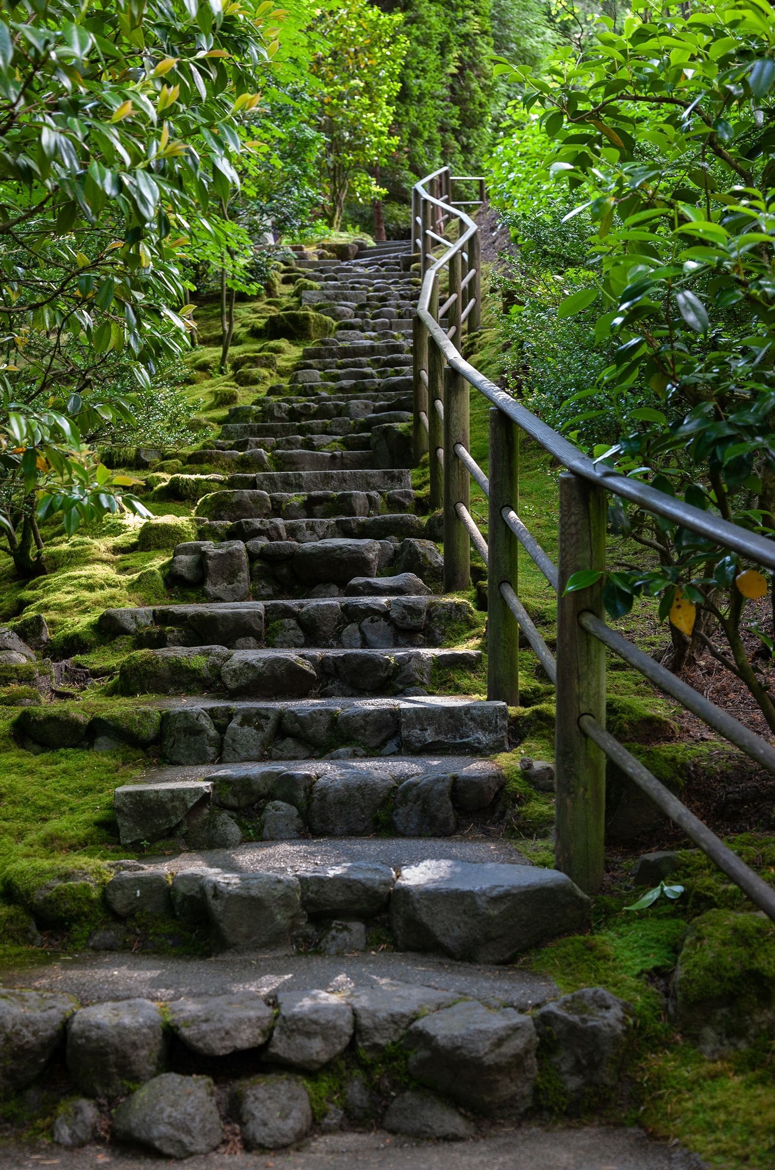 Iconic stairway. Also see “painterly” effect of this image on Effects page. June 2011