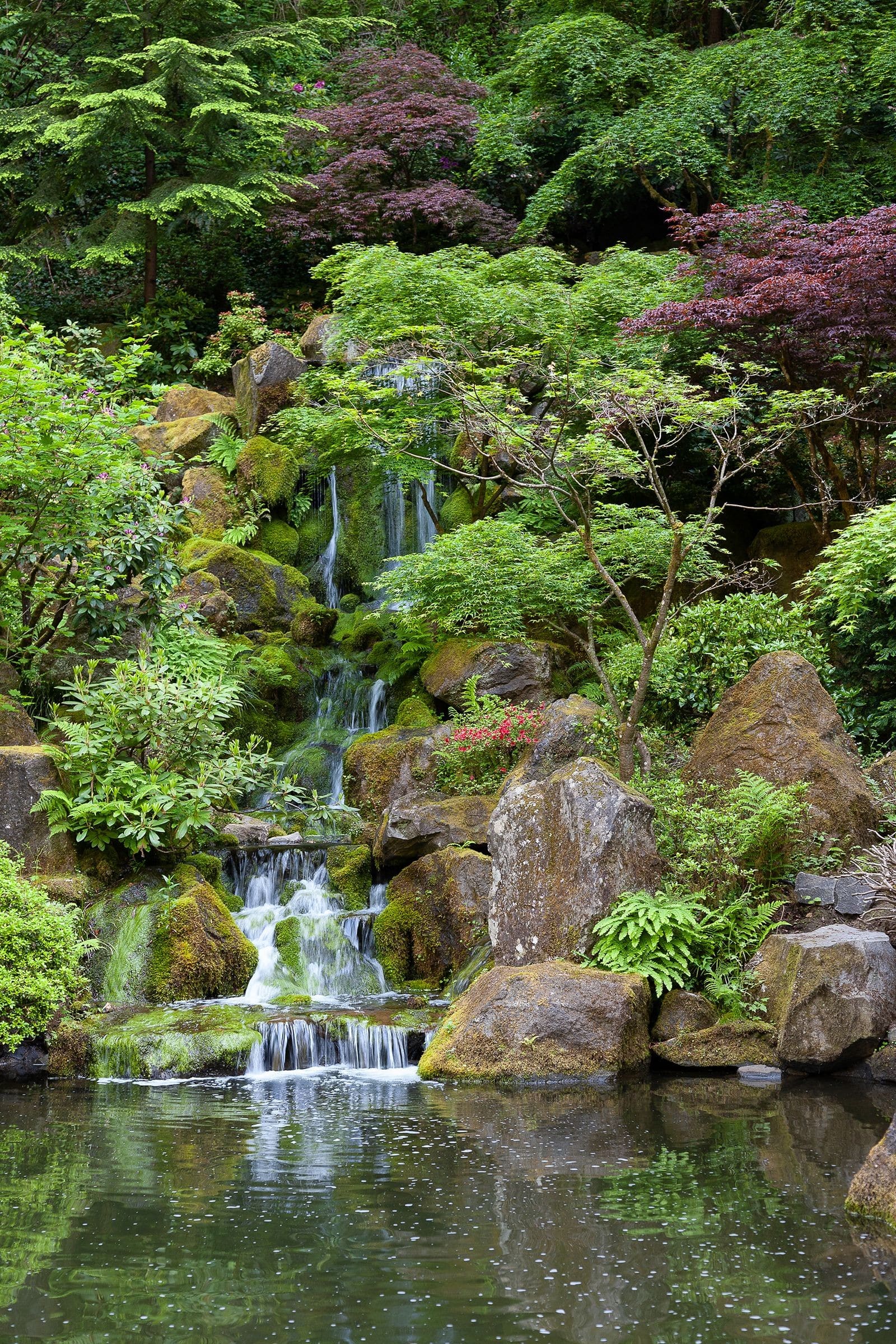 Waterfall into larger pond. June 2011