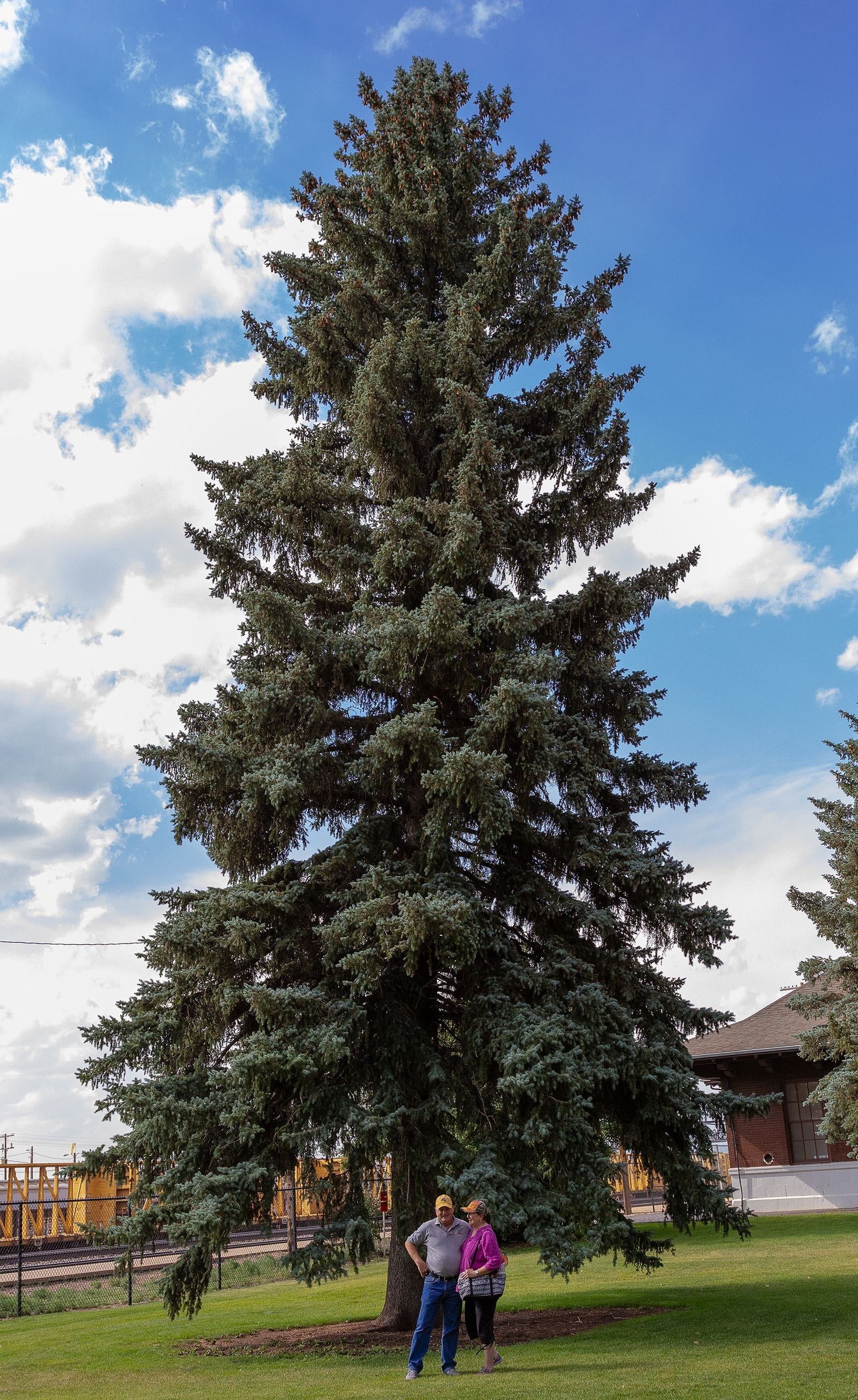 Stands out in a crowd. Railroad museum park. Laramie, Wyoming. 29 July 2016