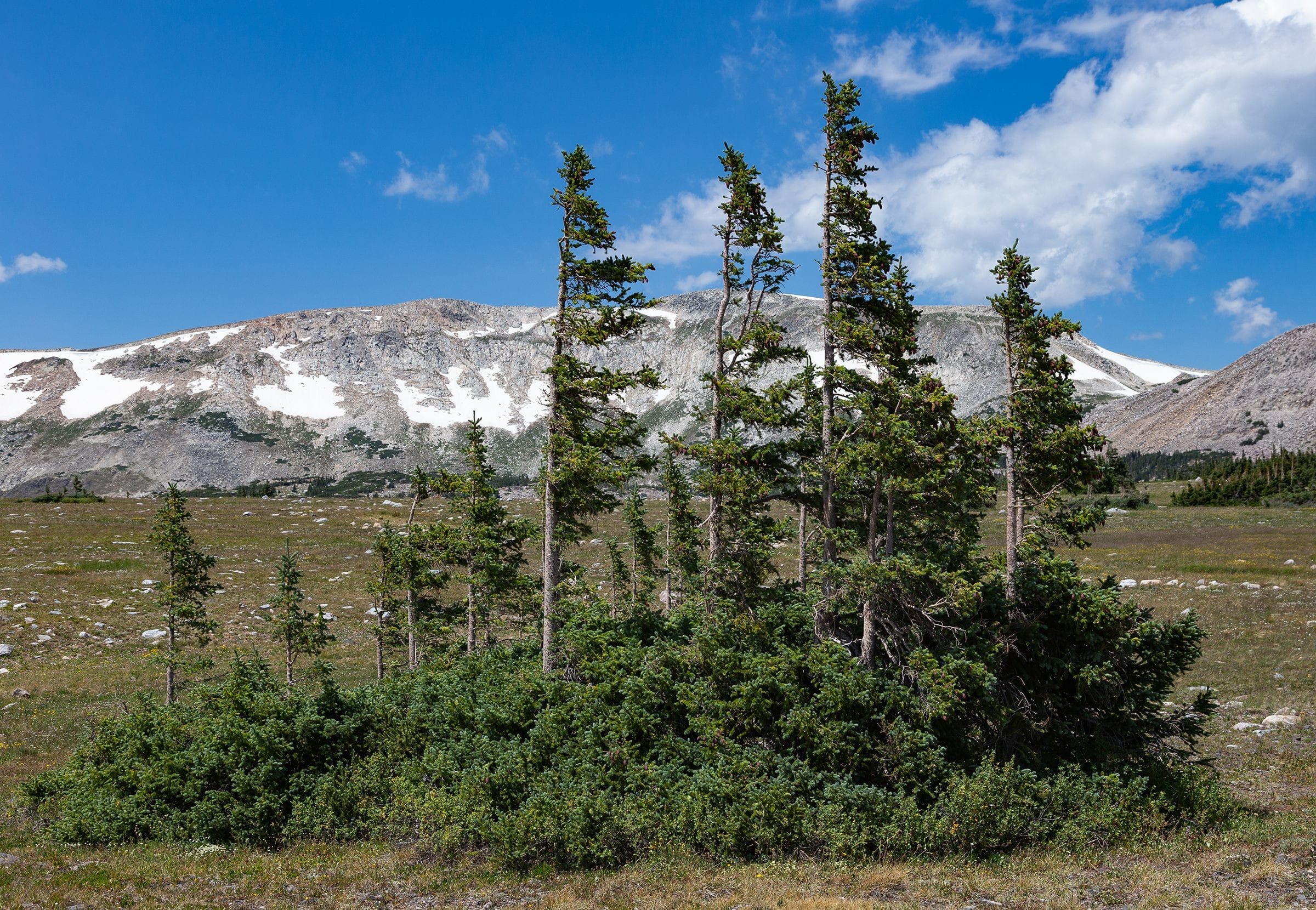 Warbonnet Village. Snowy Range Pass. 28 July 2016