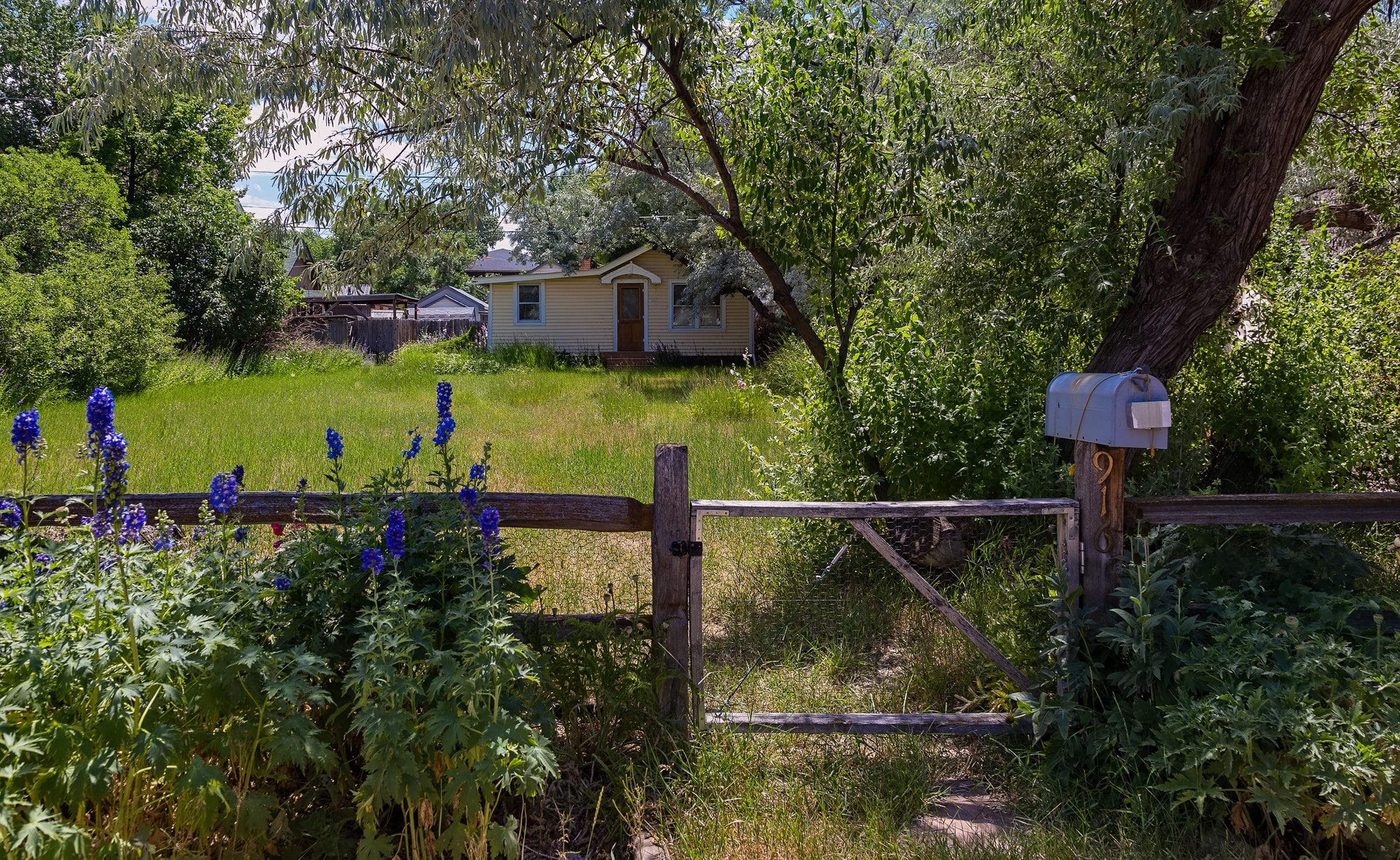 Gram's house. Laramie, Wyoming. 28 July 2016