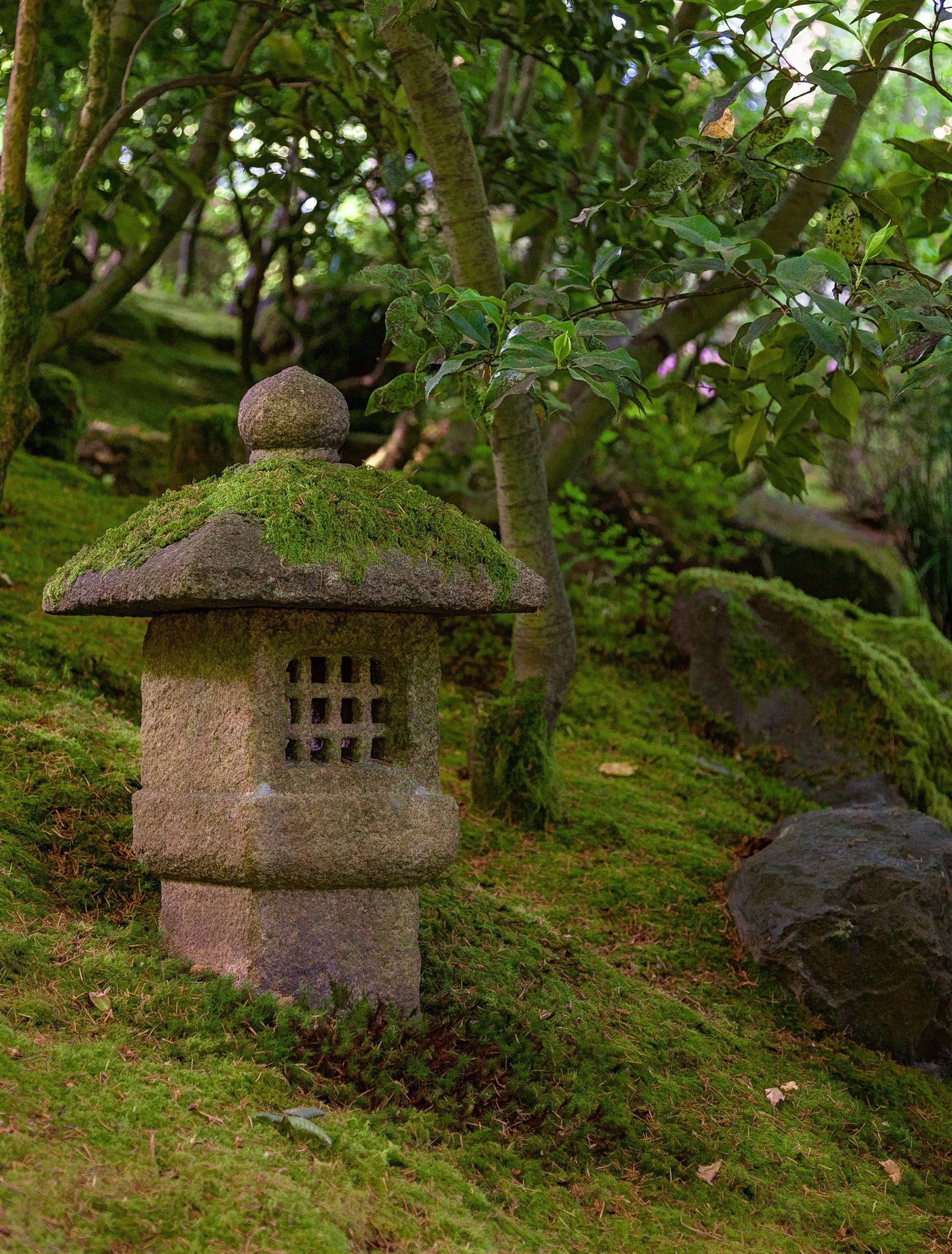 Sentinel on lush hillside. June 2011