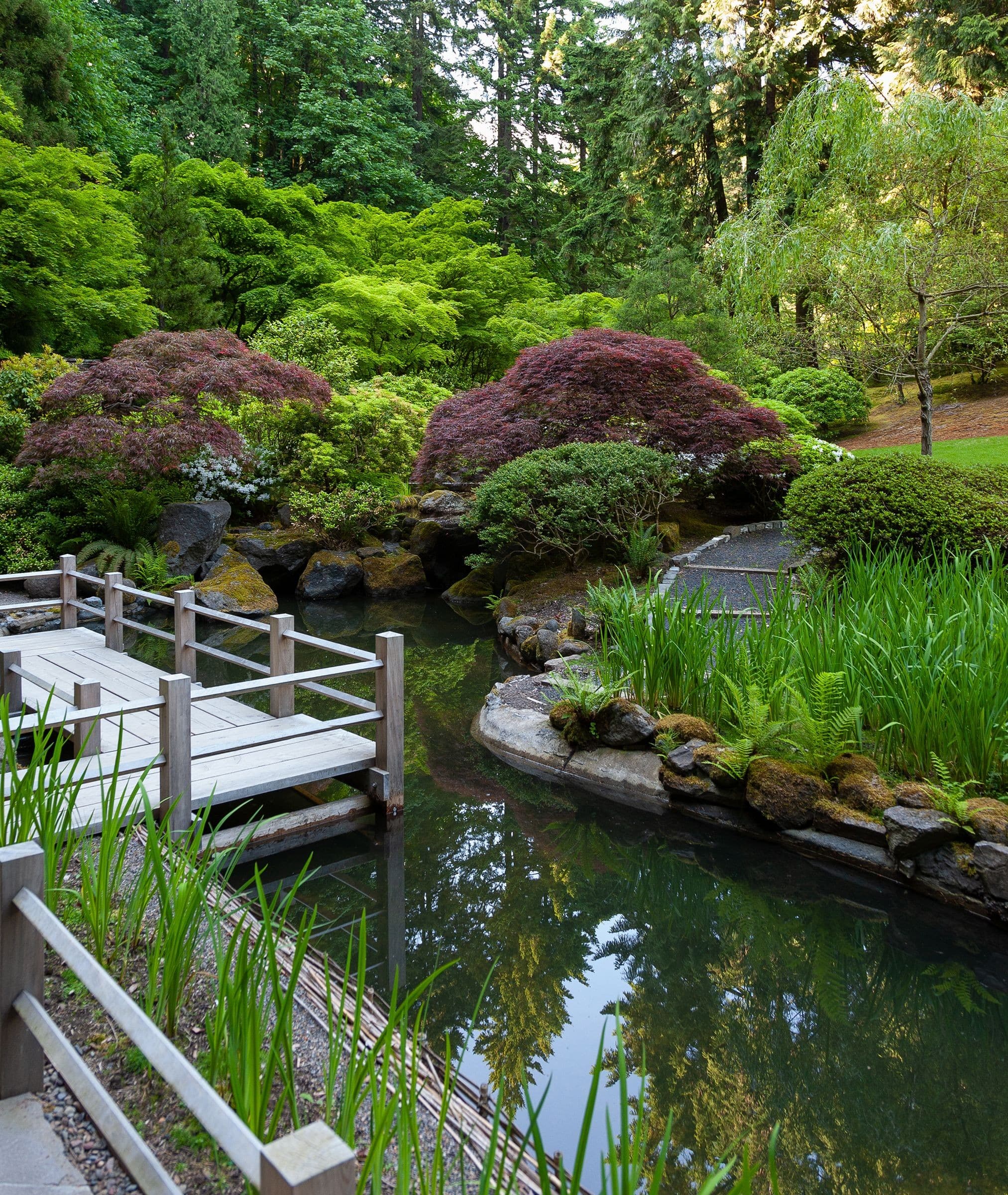 Walkway over water feature. June 2011