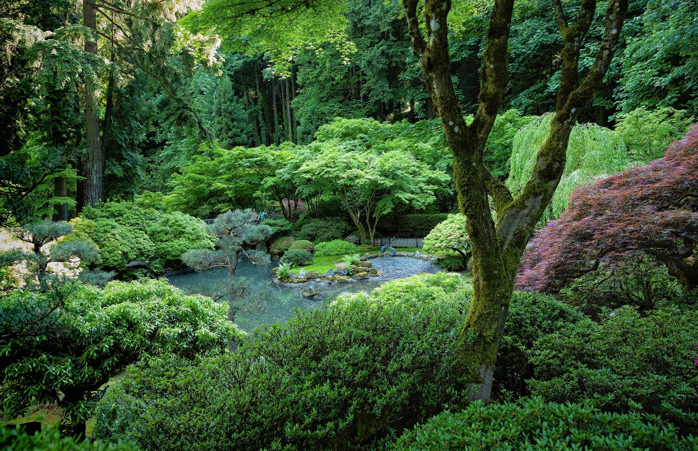 Typical view of the lush environment of the garden. Note the people in the background for scale. June 2011